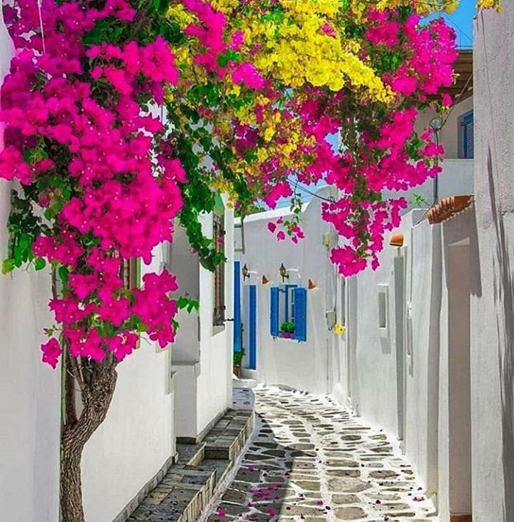 Melina'S House Mykonos Town 아파트 외부 사진